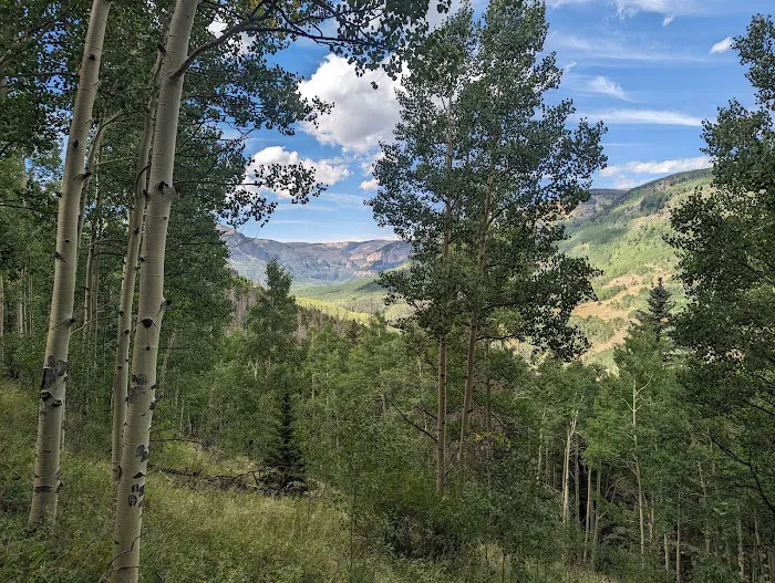 Valdez Trailhead, Trail 717 8