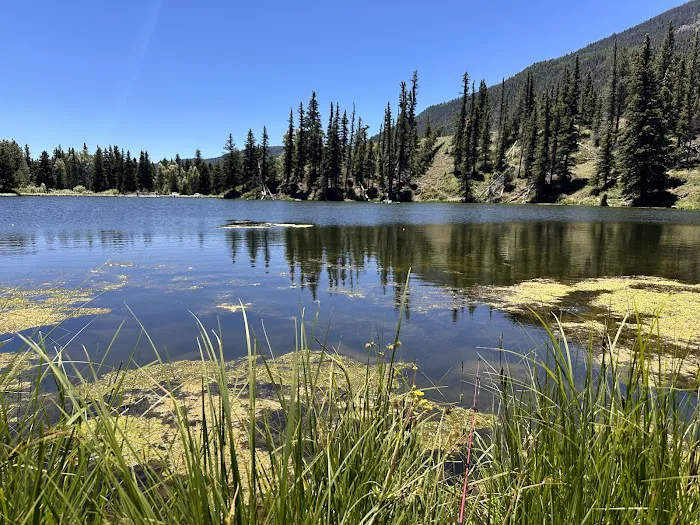 Spectacle Lake Fishing Site 0