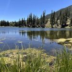 Spectacle Lake Fishing Site