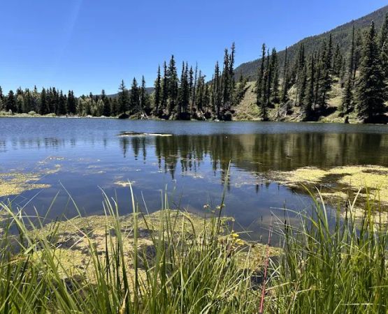 Spectacle Lake Fishing Site