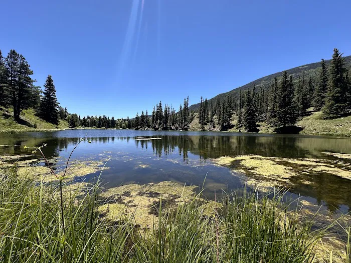 Spectacle Lake Fishing Site 5