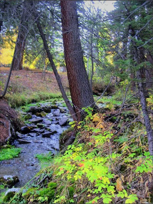 Big Springs Picnic Area 2