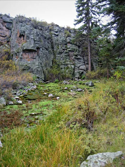 Big Springs Picnic Area 1
