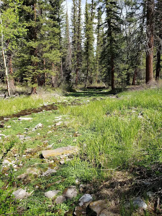 Big Springs Picnic Area 5