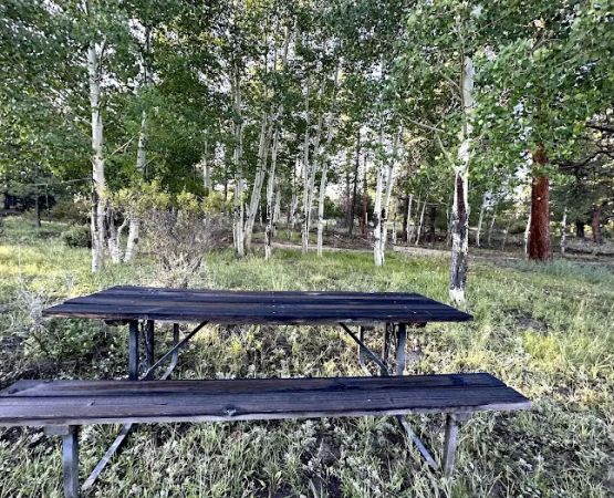 Close To Adventure Camping