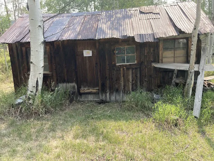 The E.D. Log House Campground 5