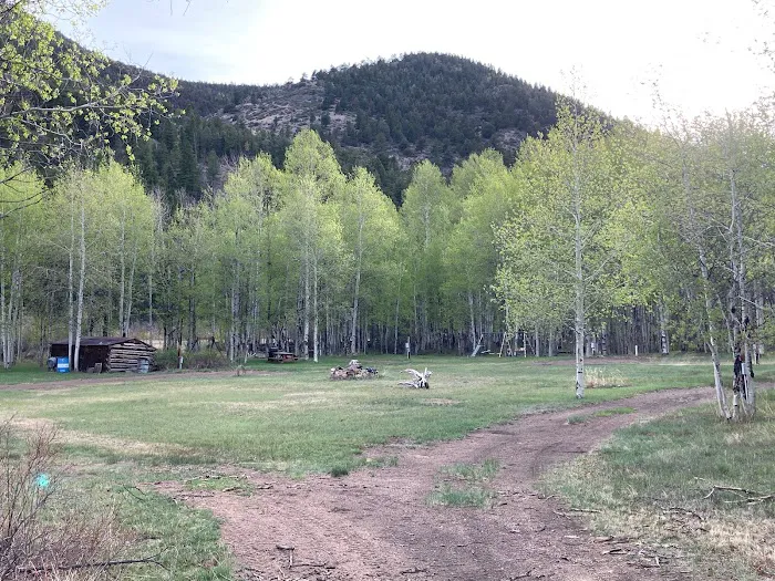The E.D. Log House Campground 9