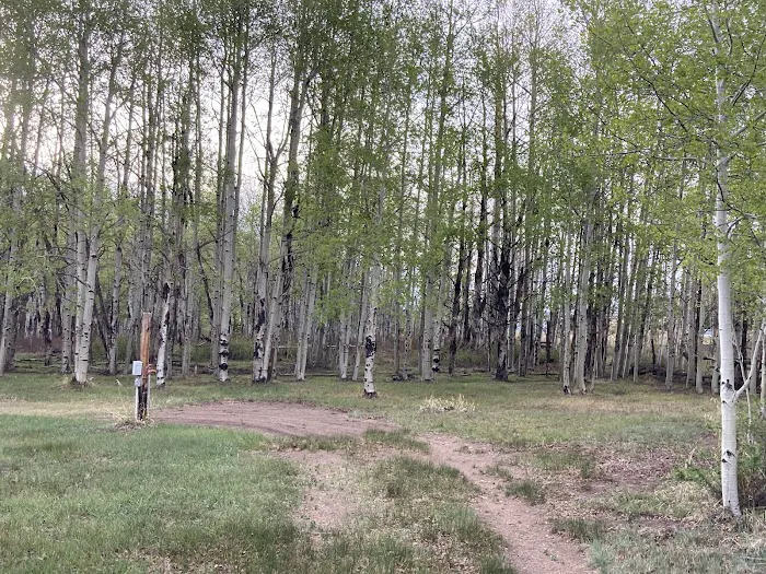 The E.D. Log House Campground 3