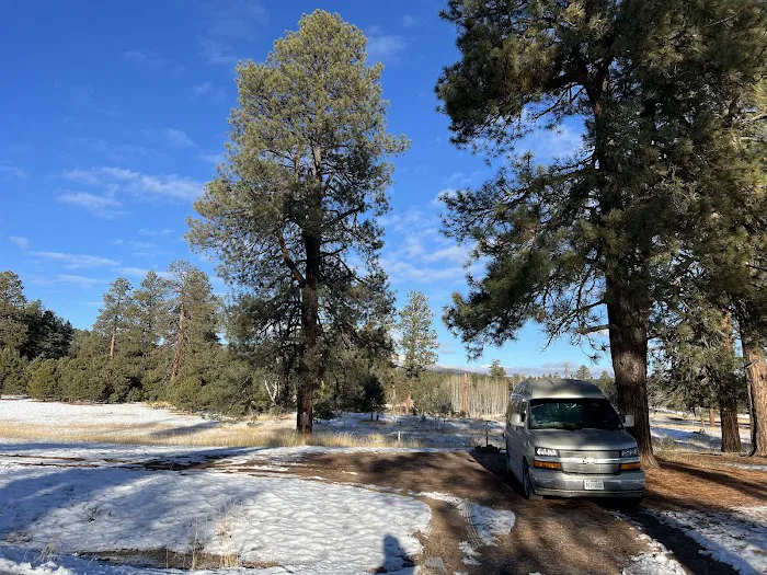 Turkey Springs Dispersed Camping 6