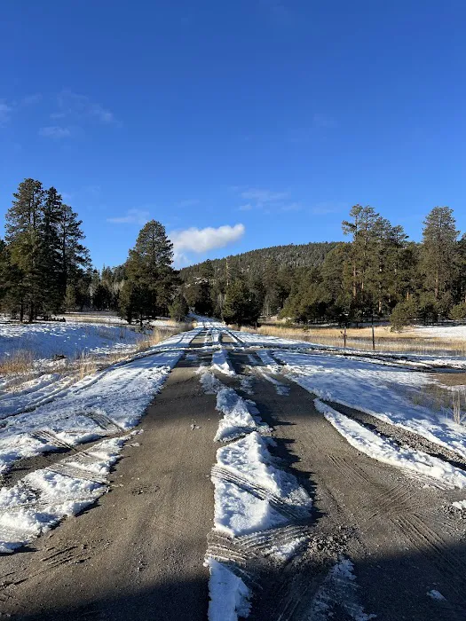 Turkey Springs Dispersed Camping 0