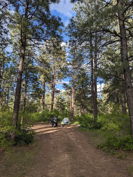 Turkey Springs Dispersed Camping 9