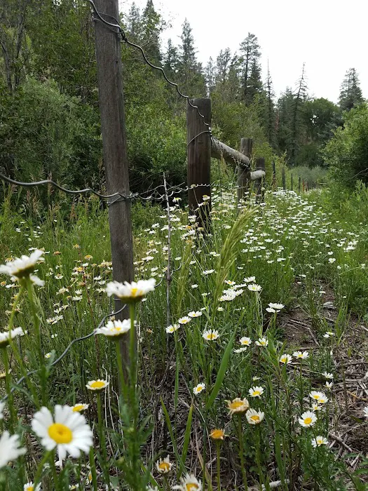 Blanco River Group Campground 0