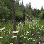 Blanco River Group Campground