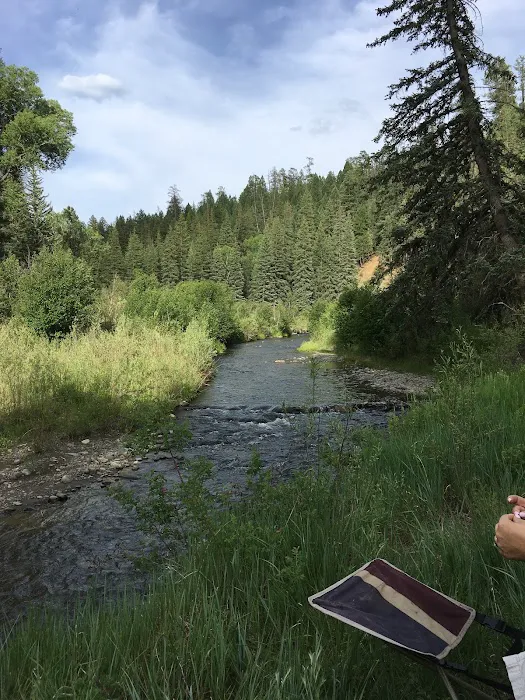 Blanco River Group Campground 7