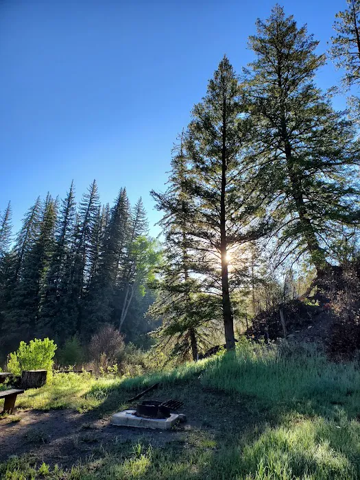 Blanco River Group Campground 5