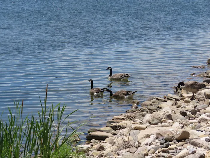 Lake Capote Recreation Area 8