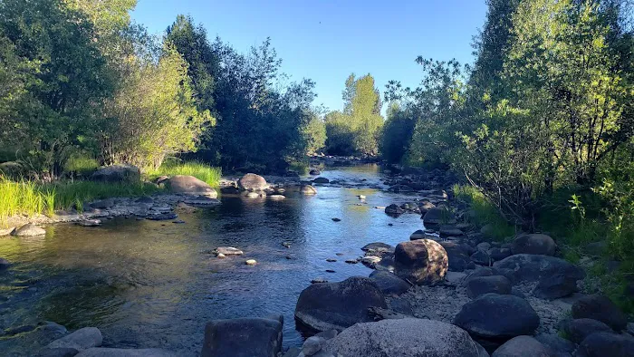 Bridge Campground 7
