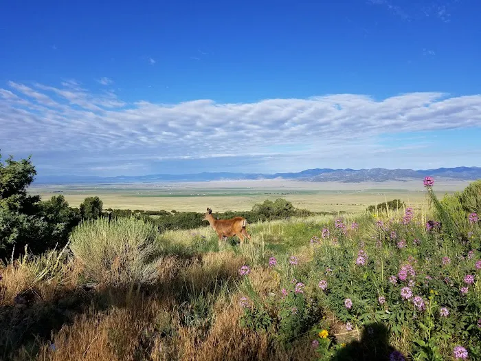 Orient Land Trust/Valley View Hot Springs 7