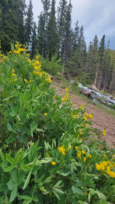 Blue Lakes Campground 4