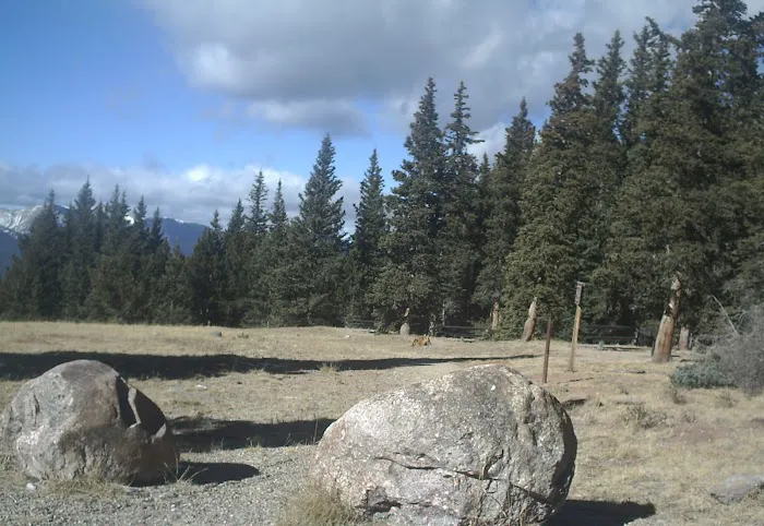 Cordova Pass Camp Ground 9