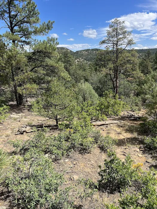 Peaceful Peaks Glamping Picture 2
