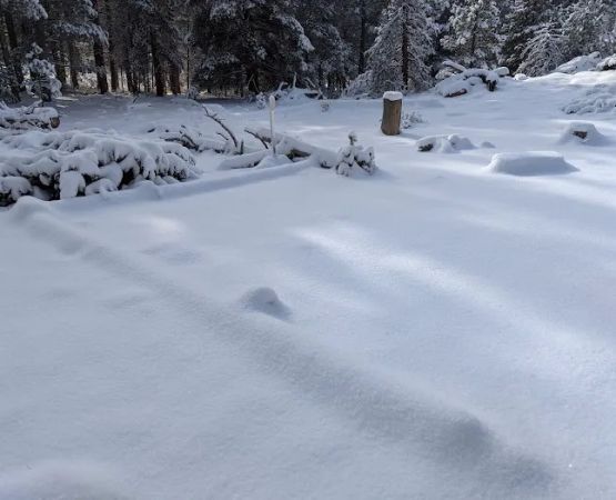 Wind River Bluff