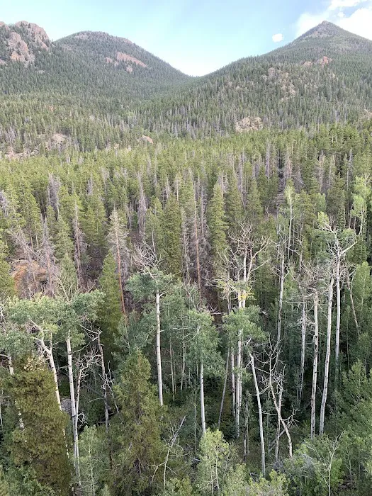 Wind River Bluff 4