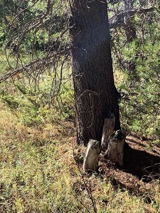 Wind River Bluff 6