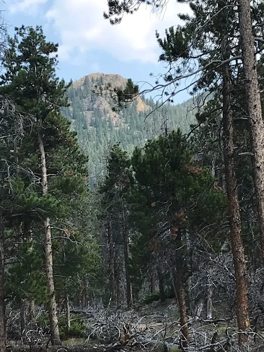 Wind River Bluff 3
