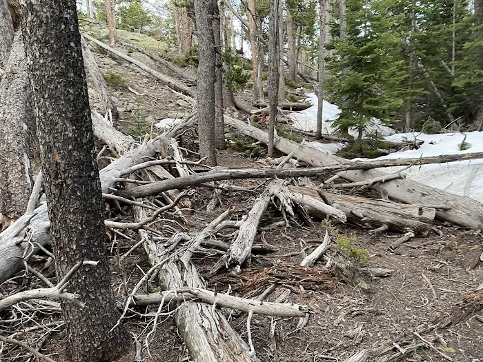 Upper Mill Creek 2