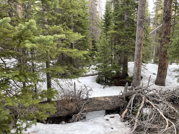 Upper Mill Creek 3