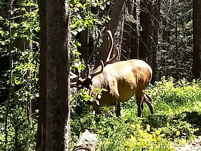 Upper Mill Creek 6