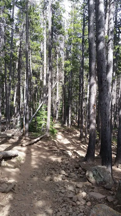 Moore Park 6