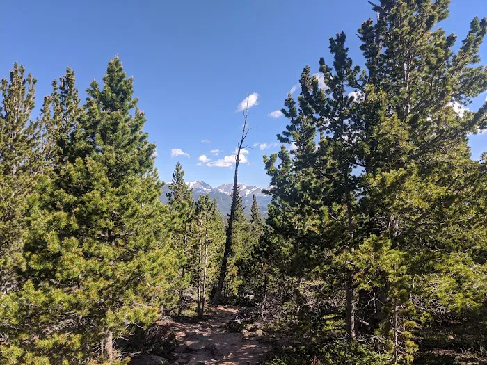 Boulder Brook 6