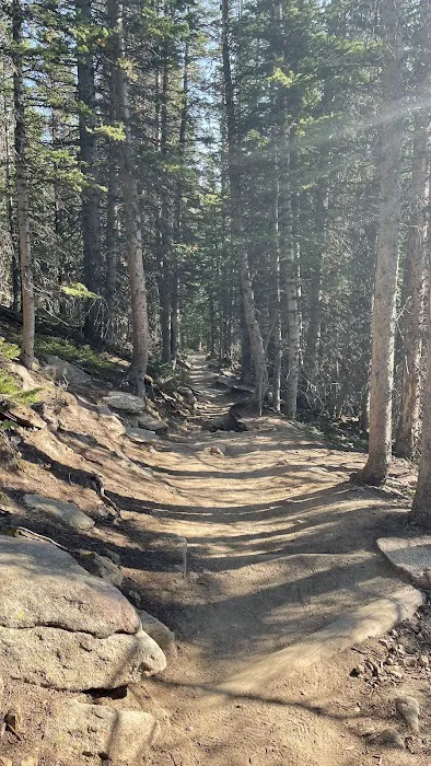 Battle Mountain Group 4