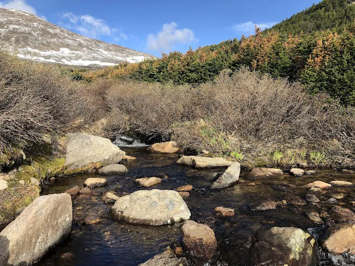 Battle Mountain Group 8