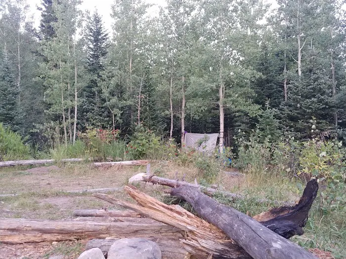 Boundary Creek 4