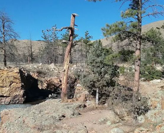 Narrows Campground