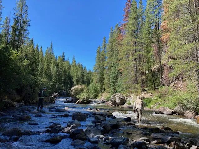 Mountain Park Recreation Area 0
