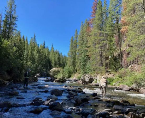 Mountain Park Recreation Area