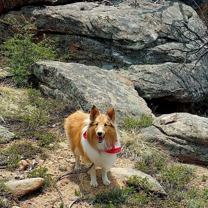 Mountain Park Recreation Area 3