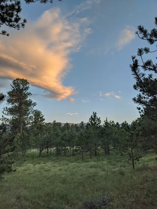 Jacks Gulch Campground 1