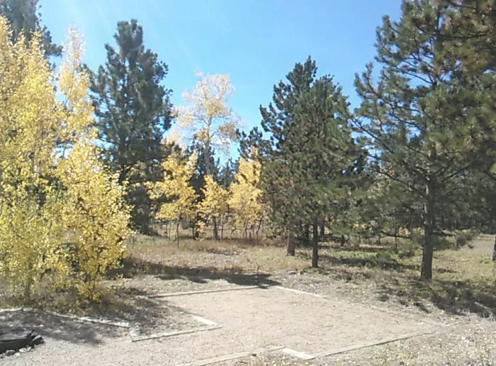 Jacks Gulch Campground 0