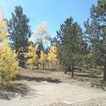 Jacks Gulch Campground