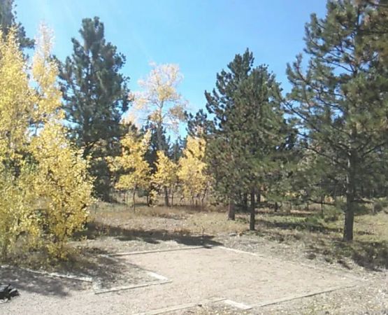Jacks Gulch Campground