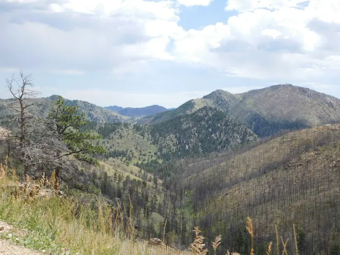 Jacks Gulch Campground 9