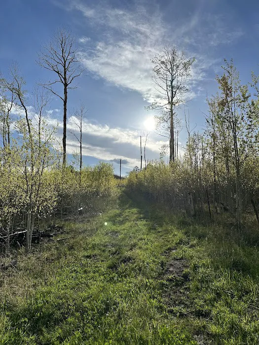 Camping at Hammond Ranch 5