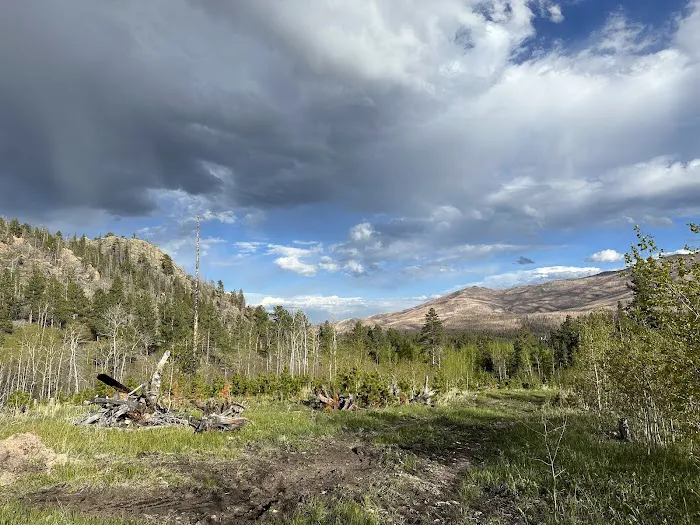 Camping at Hammond Ranch 0