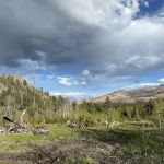 Camping at Hammond Ranch