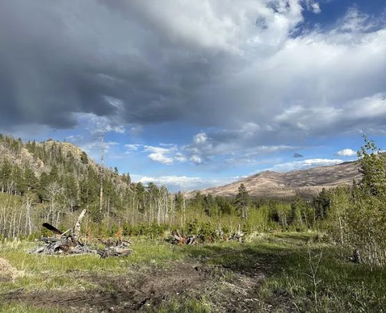 Camping at Hammond Ranch